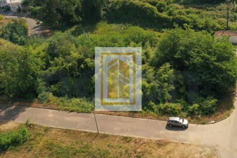 Helårsgrund i Agueda, Aveiro, Agueda - € 32.600 | Ref: 485 - foto 8