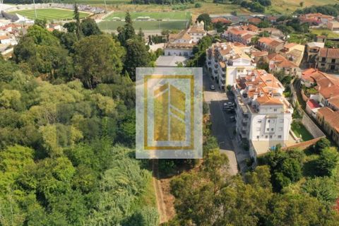 Helårsgrund i Agueda, Aveiro, Agueda - € 32.600 | Ref: 485 - foto 11