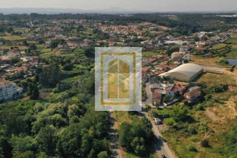 Helårsgrund i Agueda, Aveiro, Agueda - € 70.000 | Ref: 488 - foto 11