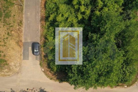 Helårsgrund i Agueda, Aveiro, Agueda - € 23.300 | Ref: 493 - foto 9