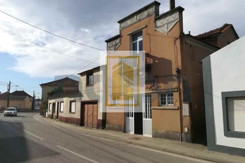 Villa i Anadia, Aveiro, Anadia - € 60.000 | Ref: 584 - foto 2