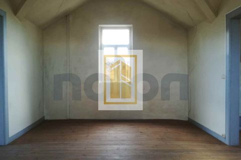 Villa i Anadia, Aveiro, Anadia - € 60.000 | Ref: 584 - foto 10