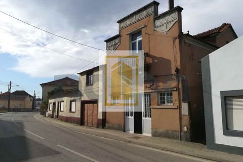 Villa i Anadia, Aveiro, Anadia - € 60.000 | Ref: 584 - foto 15