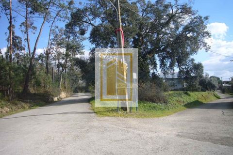 Helårsgrund i Soure, Coimbra, Soure - € 6.750 | Ref: 613 - foto 1