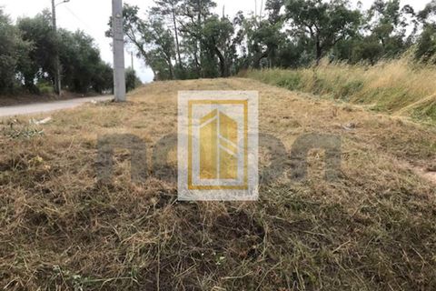 Helårsgrund i Soure, Coimbra, Soure - € 6.750 | Ref: 613 - foto 2