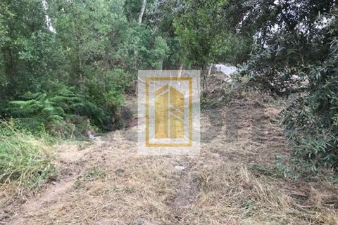 Helårsgrund i Soure, Coimbra, Soure - € 6.750 | Ref: 613 - foto 3
