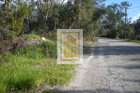Helårsgrund i Soure, Coimbra, Soure - € 6.750 | Ref: 613 - foto 5
