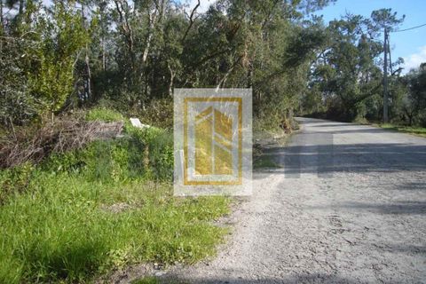 Helårsgrund i Soure, Coimbra, Soure - € 6.750 | Ref: 613 - foto 6