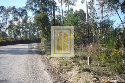 Helårsgrund i Soure, Coimbra, Soure - € 6.750 | Ref: 613 - foto 9