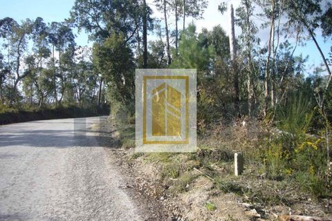 Helårsgrund i Soure, Coimbra, Soure - € 6.750 | Ref: 613 - foto 10