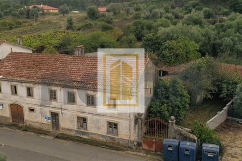Villa i Condeixa-a-Nova, Coimbra, Condeixa-a-Nova - € 105.000 | Ref: 624 - foto 6