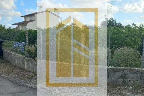 Helårsgrund i Oliveira do Bairro, Aveiro, Oliveira do Bairro - € 56.150 | Ref: 689 - foto 9