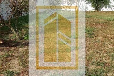 Villa i Vagos, Aveiro, Vagos - € 440.000 | Ref: 697 - foto 42