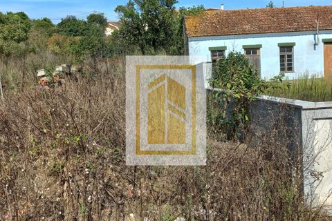 Helårsgrund i Aveiro, Aveiro, Aveiro - € 160.000 | Ref: 709 - foto 7