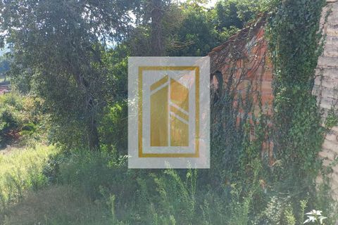 Helårsgrund i Aveiro, Aveiro, Aveiro - € 160.000 | Ref: 709 - foto 14