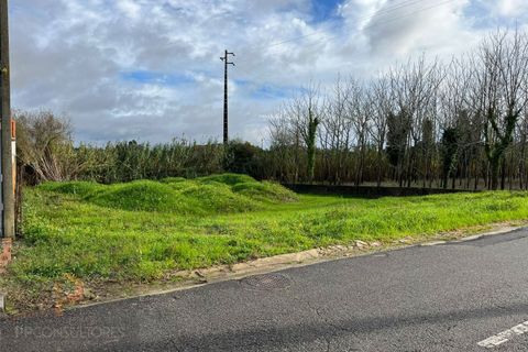 Helårsgrund i Ilhavo, Aveiro, Ilhavo - € 50.000 | Ref: 718 - foto 1