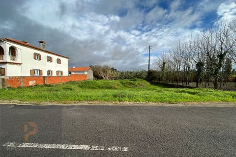 Helårsgrund i Ilhavo, Aveiro, Ilhavo - € 50.000 | Ref: 718 - foto 3