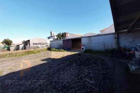 Villa i Oliveira do Bairro, Aveiro, Oliveira do Bairro - € 120.000 | Ref: 720 - foto 7