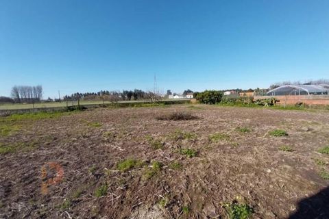 Villa i Oliveira do Bairro, Aveiro, Oliveira do Bairro - € 120.000 | Ref: 720 - foto 12