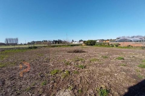 Villa i Oliveira do Bairro, Aveiro, Oliveira do Bairro - € 120.000 | Ref: 720 - foto 13