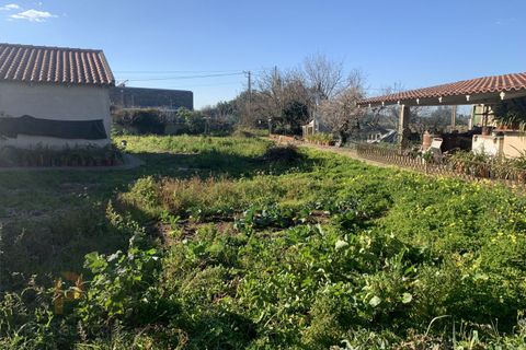 Villa i Oliveira do Bairro, Aveiro, Oliveira do Bairro - € 280.000 | Ref: 728 - foto 3