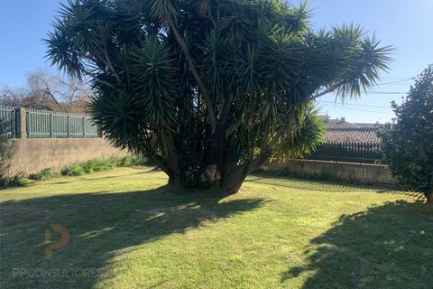Villa i Oliveira do Bairro, Aveiro, Oliveira do Bairro - € 280.000 | Ref: 728 - foto 19