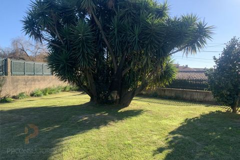 Villa i Oliveira do Bairro, Aveiro, Oliveira do Bairro - € 280.000 | Ref: 734 - foto 4