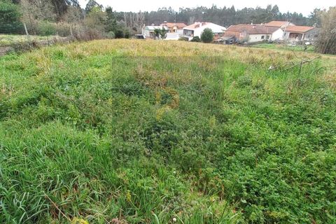 Villa i Oliveira do Bairro, Aveiro, Oliveira do Bairro - € 175.000 | Ref: 750 - foto 37