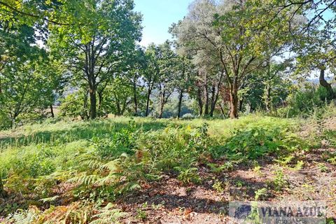 Farm i Arcos de Valdevez, Viana do Castelo, Arcos de Valdevez - € 229.000 | Ref: 1974 - foto 13