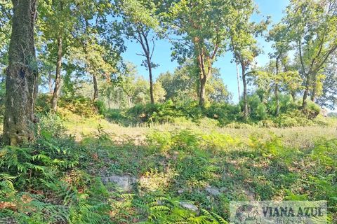 Farm i Arcos de Valdevez, Viana do Castelo, Arcos de Valdevez - € 229.000 | Ref: 1974 - foto 14