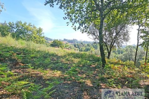 Farm i Arcos de Valdevez, Viana do Castelo, Arcos de Valdevez - € 229.000 | Ref: 1974 - foto 15