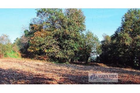 Farm i Arcos de Valdevez, Viana do Castelo, Arcos de Valdevez - € 229.000 | Ref: 1974 - foto 17