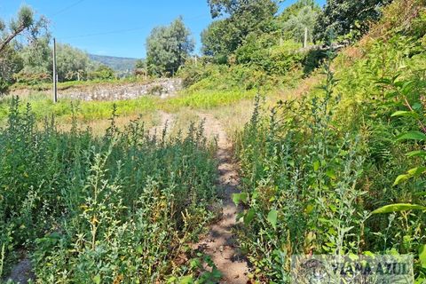 Farm i Arcos de Valdevez, Viana do Castelo, Arcos de Valdevez - € 229.000 | Ref: 1974 - foto 18