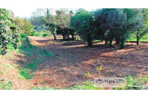 Farm i Arcos de Valdevez, Viana do Castelo, Arcos de Valdevez - € 229.000 | Ref: 1974 - foto 19
