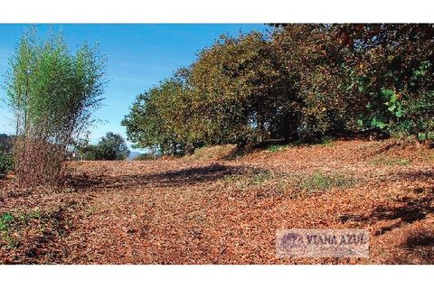 Farm i Arcos de Valdevez, Viana do Castelo, Arcos de Valdevez - € 229.000 | Ref: 1974 - foto 21