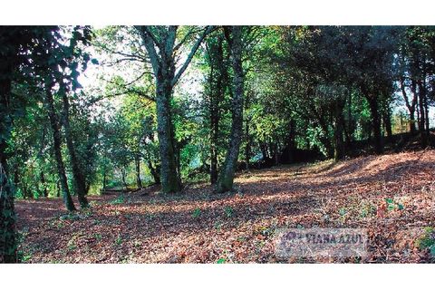 Farm i Arcos de Valdevez, Viana do Castelo, Arcos de Valdevez - € 229.000 | Ref: 1974 - foto 22
