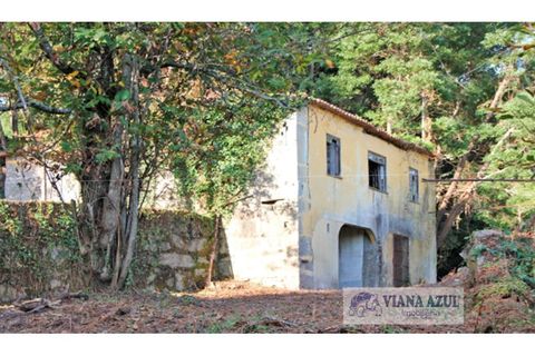 Farm i Arcos de Valdevez, Viana do Castelo, Arcos de Valdevez - € 229.000 | Ref: 1974 - foto 5
