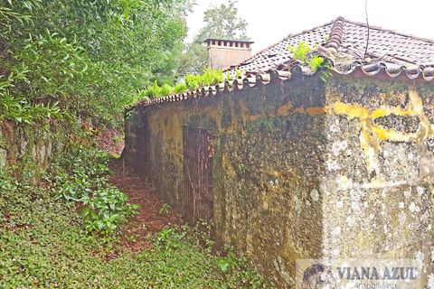 Farm i Arcos de Valdevez, Viana do Castelo, Arcos de Valdevez - € 229.000 | Ref: 1974 - foto 10