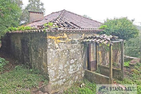Farm i Arcos de Valdevez, Viana do Castelo, Arcos de Valdevez - € 229.000 | Ref: 1974 - foto 4