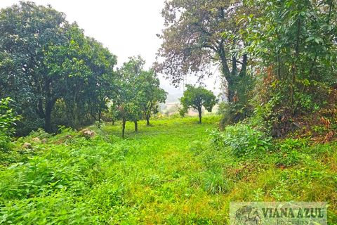 Farm i Arcos de Valdevez, Viana do Castelo, Arcos de Valdevez - € 229.000 | Ref: 1974 - foto 23