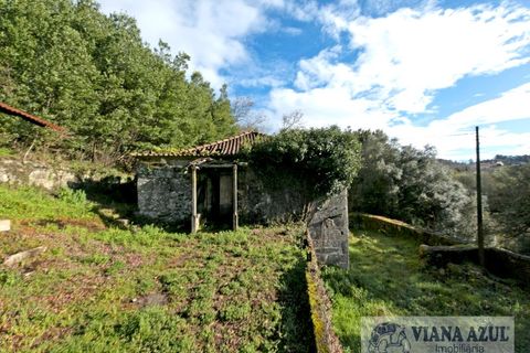Farm i Arcos de Valdevez, Viana do Castelo, Arcos de Valdevez - € 229.000 | Ref: 1974 - foto 6