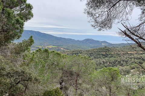 Terra a Lloret De Mar, Gerona, Lloret De Mar - € 105.450 | Ref: 436T19 - foto 2