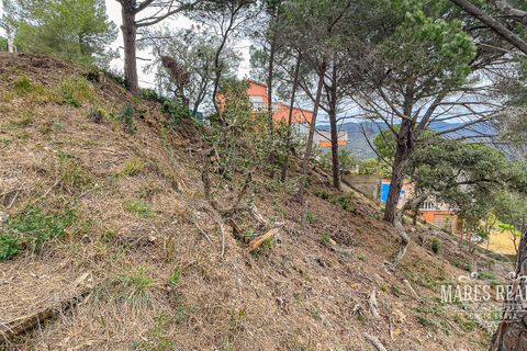 Terra a Lloret De Mar, Gerona, Lloret De Mar - € 105.450 | Ref: 436T19 - foto 5