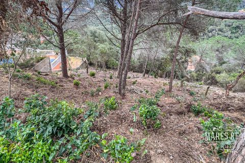 Terra a Lloret De Mar, Gerona, Lloret De Mar - € 105.450 | Ref: 436T19 - foto 10