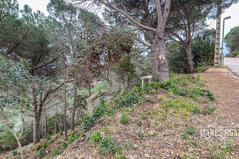 Terra a Lloret De Mar, Gerona, Lloret De Mar - € 105.450 | Ref: 436T19 - foto 11