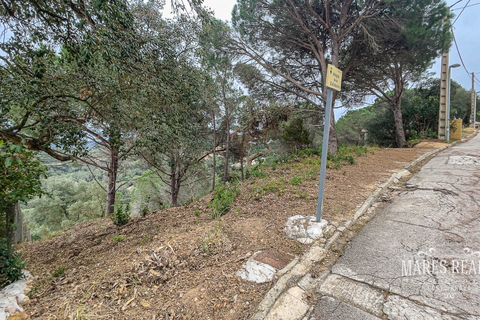 Terra a Lloret De Mar, Gerona, Lloret De Mar - € 105.450 | Ref: 436T19 - foto 13