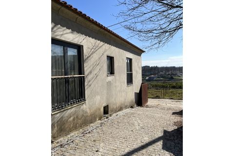 Gård i Gestaco, Porto, Gestaco - € 830 000 | Ref: FT0910 - foto 13