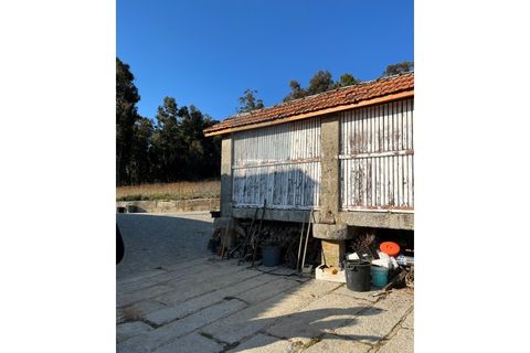 Gård i Gestaco, Porto, Gestaco - € 830 000 | Ref: FT0910 - foto 25