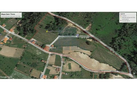 Gård i Gestaco, Porto, Gestaco - € 830 000 | Ref: FT0910 - foto 2