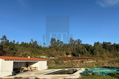 Gård i Gestaco, Porto, Gestaco - € 830 000 | Ref: FT0910 - foto 7
